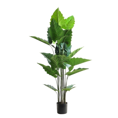 PLANTA ARTIFICIAL 185 cm x 110 cm ALOCASIA VERDE CON MACETA NEGRO