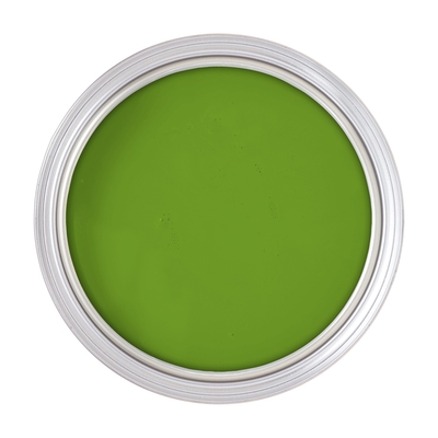 PINTURA LATEX PARA USO EXTERIOR / INTERIOR VERDE CARYMAR EXCELLO LATEX